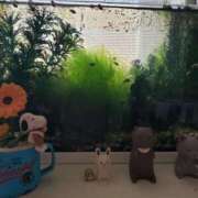 ヒメ日記 2025/06/05 21:07 投稿 さよ 妻天 梅田店