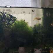 ヒメ日記 2025/08/10 08:37 投稿 さよ 妻天 梅田店