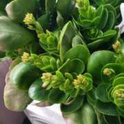 さよ おはようございます😃 妻天 梅田店