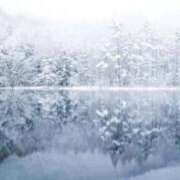 ヒメ日記 2025/02/13 09:40 投稿 ちひろ 渋谷 風俗 奥様発情の会