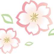 ヒメ日記 2025/03/27 09:32 投稿 ちひろ 渋谷 風俗 奥様発情の会