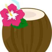 ヒメ日記 2025/05/07 09:30 投稿 ちひろ 渋谷 風俗 奥様発情の会