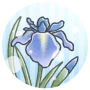 ヒメ日記 2025/06/07 09:20 投稿 ちひろ 渋谷 風俗 奥様発情の会