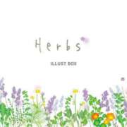 ヒメ日記 2025/08/02 09:17 投稿 ちひろ 渋谷 風俗 奥様発情の会