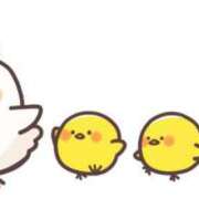 ヒメ日記 2025/10/28 09:55 投稿 ちひろ 渋谷 風俗 奥様発情の会