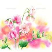 ヒメ日記 2026/01/27 09:43 投稿 ちひろ 渋谷 風俗 奥様発情の会