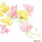 ヒメ日記 2026/01/31 09:25 投稿 ちひろ 渋谷 風俗 奥様発情の会