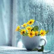 ヒメ日記 2025/03/29 11:47 投稿 ゆりえ 渋谷 風俗 奥様発情の会