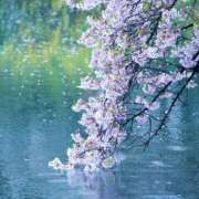 ヒメ日記 2025/04/13 11:14 投稿 ゆりえ 渋谷 風俗 奥様発情の会