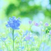 ヒメ日記 2025/04/18 11:02 投稿 ゆりえ 渋谷 風俗 奥様発情の会