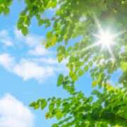 ヒメ日記 2025/04/19 10:56 投稿 ゆりえ 渋谷 風俗 奥様発情の会