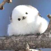 ヒメ日記 2025/04/25 11:06 投稿 ゆりえ 渋谷 風俗 奥様発情の会