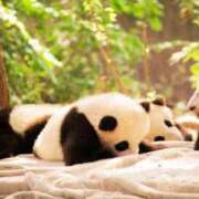 ヒメ日記 2025/04/29 09:55 投稿 ゆりえ 渋谷 風俗 奥様発情の会