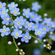 ヒメ日記 2025/05/06 10:47 投稿 ゆりえ 渋谷 風俗 奥様発情の会