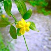 ヒメ日記 2025/05/27 10:23 投稿 ゆりえ 渋谷 風俗 奥様発情の会