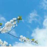 ヒメ日記 2025/05/29 10:33 投稿 ゆりえ 渋谷 風俗 奥様発情の会