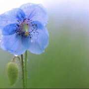 ヒメ日記 2025/06/03 10:05 投稿 ゆりえ 渋谷 風俗 奥様発情の会