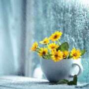 ヒメ日記 2025/06/10 09:55 投稿 ゆりえ 渋谷 風俗 奥様発情の会