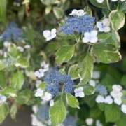 ヒメ日記 2025/06/15 09:40 投稿 ゆりえ 渋谷 風俗 奥様発情の会