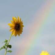 ヒメ日記 2025/07/05 09:50 投稿 ゆりえ 渋谷 風俗 奥様発情の会