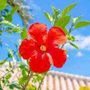 ヒメ日記 2025/07/06 09:40 投稿 ゆりえ 渋谷 風俗 奥様発情の会