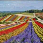 ヒメ日記 2025/08/08 10:17 投稿 ゆりえ 渋谷 風俗 奥様発情の会