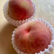 ヒメ日記 2025/08/10 10:29 投稿 ゆりえ 渋谷 風俗 奥様発情の会