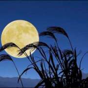 ヒメ日記 2025/09/02 10:00 投稿 ゆりえ 渋谷 風俗 奥様発情の会