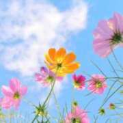 ヒメ日記 2025/10/19 09:52 投稿 ゆりえ 渋谷 風俗 奥様発情の会