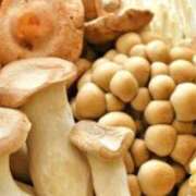 ヒメ日記 2025/10/22 09:53 投稿 ゆりえ 渋谷 風俗 奥様発情の会