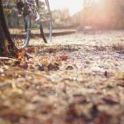 ヒメ日記 2025/11/13 10:05 投稿 ゆりえ 渋谷 風俗 奥様発情の会