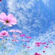 ヒメ日記 2025/11/14 10:38 投稿 ゆりえ 渋谷 風俗 奥様発情の会