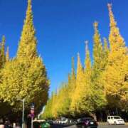 ヒメ日記 2025/11/22 09:18 投稿 ゆりえ 渋谷 風俗 奥様発情の会