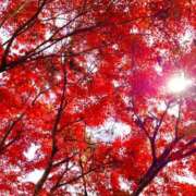 ヒメ日記 2025/11/26 09:35 投稿 ゆりえ 渋谷 風俗 奥様発情の会