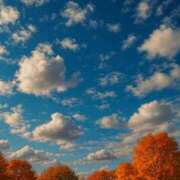 ヒメ日記 2025/10/23 14:35 投稿 はるな 熟女の風俗最終章 町田店