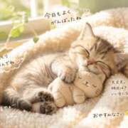 ヒメ日記 2026/07/15 20:31 投稿 はるな 熟女の風俗最終章 町田店