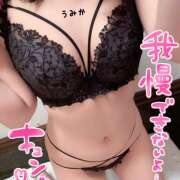 ヒメ日記 2025/04/08 10:01 投稿 うみか 吉原アクアパレス