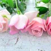 ヒメ日記 2025/03/28 10:15 投稿 まりえ ニューヨークニューヨーク