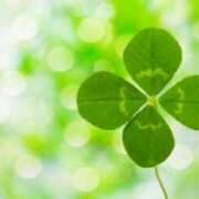 ヒメ日記 2025/04/04 22:01 投稿 まりえ ニューヨークニューヨーク