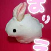 ヒメ日記 2025/04/11 21:48 投稿 まりえ ニューヨークニューヨーク