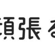 ヒメ日記 2025/04/18 10:30 投稿 まりえ ニューヨークニューヨーク