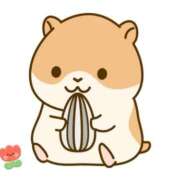 ヒメ日記 2025/05/30 22:00 投稿 まりえ ニューヨークニューヨーク