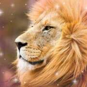 ヒメ日記 2025/06/27 22:15 投稿 まりえ ニューヨークニューヨーク