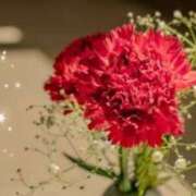 ヒメ日記 2025/08/22 22:15 投稿 まりえ ニューヨークニューヨーク