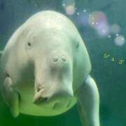 ヒメ日記 2025/10/03 15:45 投稿 まりえ ニューヨークニューヨーク