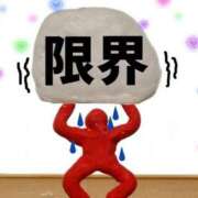 ヒメ日記 2025/11/07 15:00 投稿 まりえ ニューヨークニューヨーク