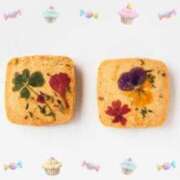 まりえ 来週もよろしくお願いします☆ ニューヨークニューヨーク