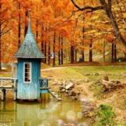 ヒメ日記 2026/01/09 11:00 投稿 まりえ ニューヨークニューヨーク