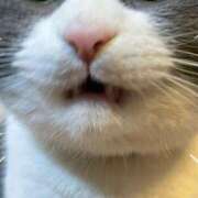 ヒメ日記 2026/01/09 16:45 投稿 まりえ ニューヨークニューヨーク