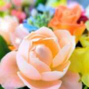 まりえ 今日も ニューヨークニューヨーク